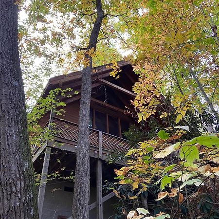 Above Ole Smokys Clouds Villa Gatlinburg Kültér fotó